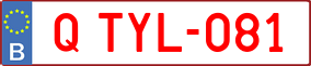 Trailer License Plate